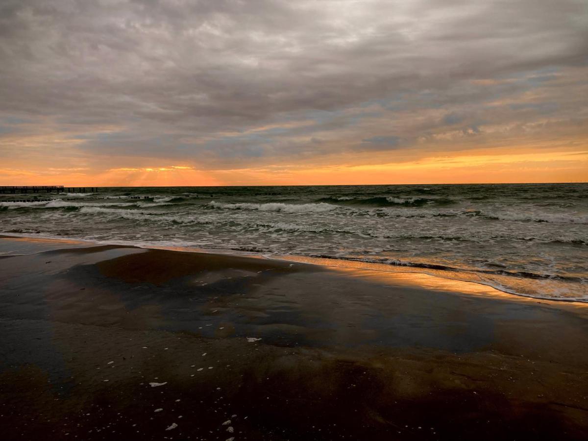 Fewo VI Villa Nicole Hafenstrasse 37 Zingst Luaran gambar