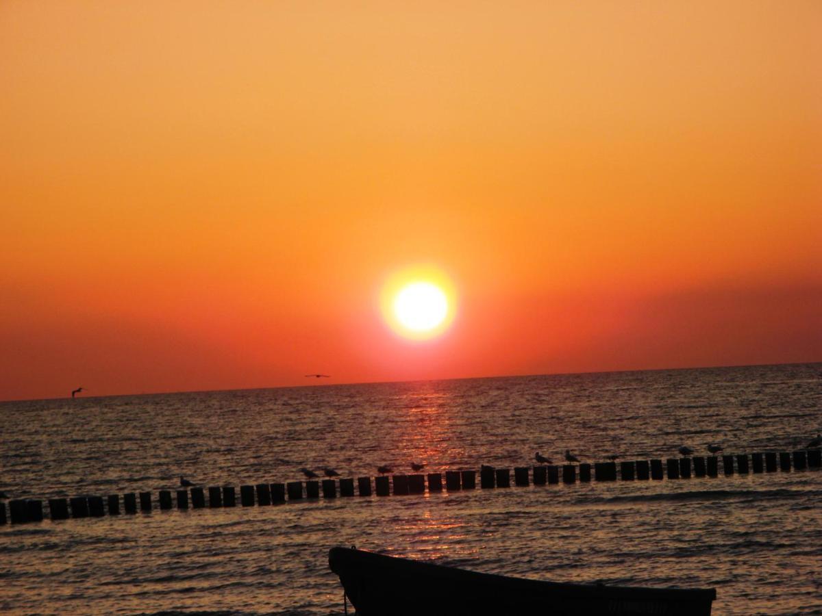 Fewo VI Villa Nicole Hafenstrasse 37 Zingst Luaran gambar